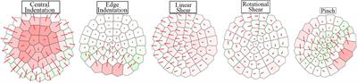 Optical-Tactile Sensor for Lump Detection Using Pneumatic Control